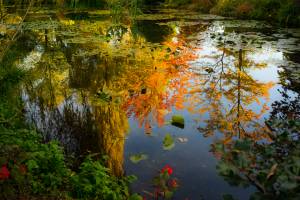 Christine LE GUYADEC - leguyadecc@gmail.com