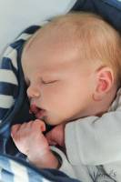 Manuel SUBASIC - CLAP IMAGES